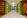 Workplace Office Interior Design BEUSA Energy The Woodlands Green Glass Elevator Lobby Entrance