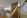 Corporate Hedge Fund Houston Interior Design Central Staircase Wood Wall